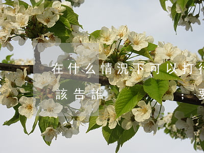 在什么情況下，可以打行政官司；該告誰；要提供哪些材料